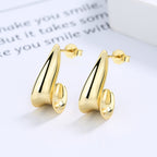 Twisted Women S925 Sterling Silver Earrings